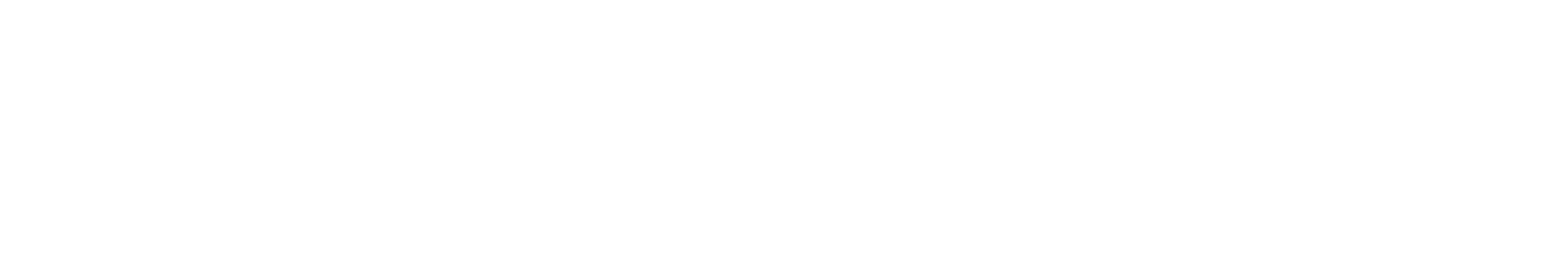 Sixgun logo white